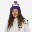 Patagonia Powder Town Beanie